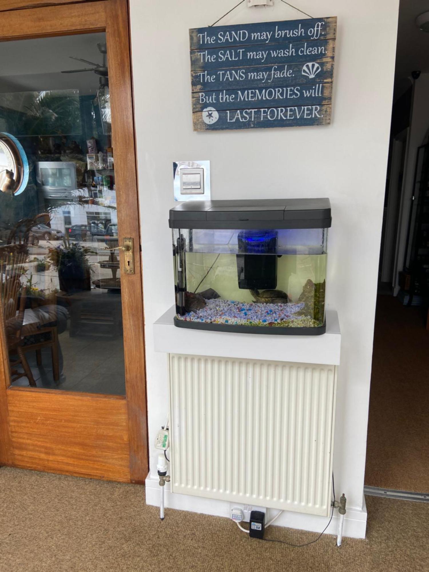 Aquarius B&B Newquay  Ngoại thất bức ảnh